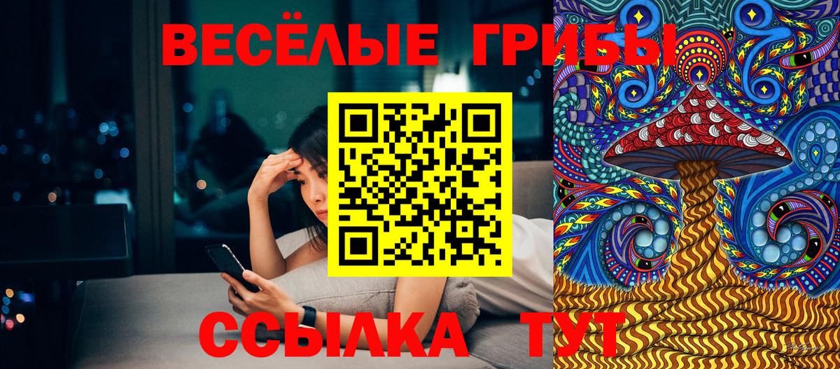 Галлюциногенные грибы Cubensis Ижевск